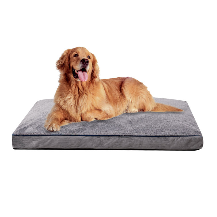 Large memory clearance foam dog bed